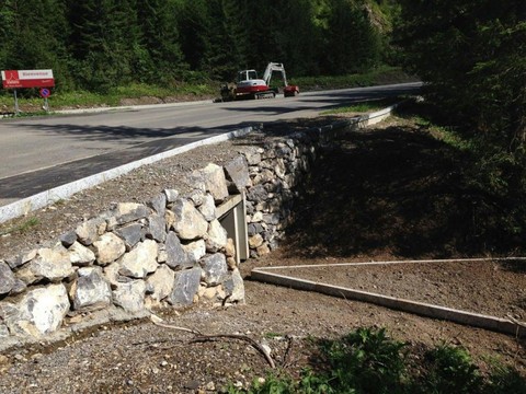 Des centaines de batraciens sauvés en Valais grâce aux crapauducs