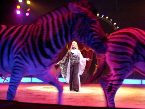Le cirque Nock plie définitivement son chapiteau après 158 ans
