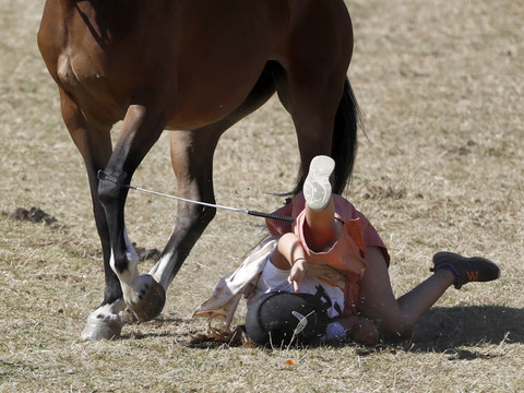 Quelque 8000 accidents d'équitation par an en Suisse