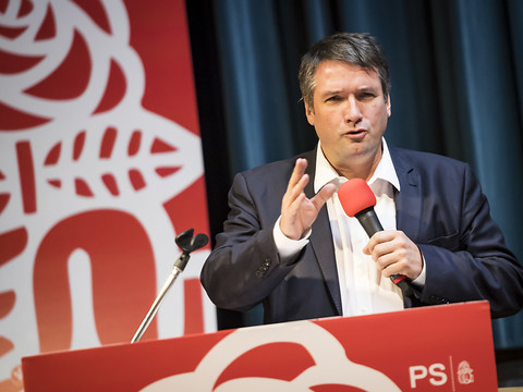 Les Verts suisses euphoriques, relation avec Bruxelles en question