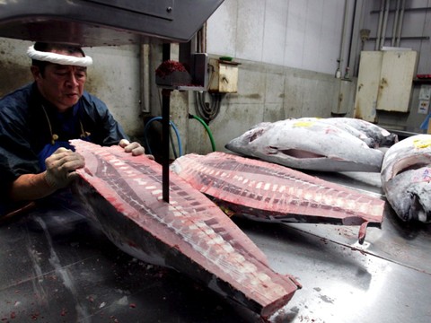 Nitrite dans le thon détecté dans la moitié des échantillons testés