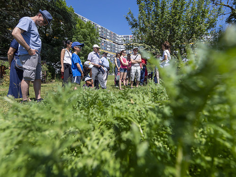 Températures estivales sur la Suisse à l'Ascension