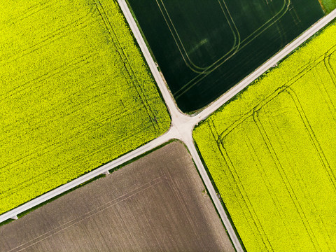 La sécurité sociale des paysannes doit être renforcée