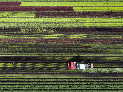 Douze pesticides ne pourront plus être utilisés