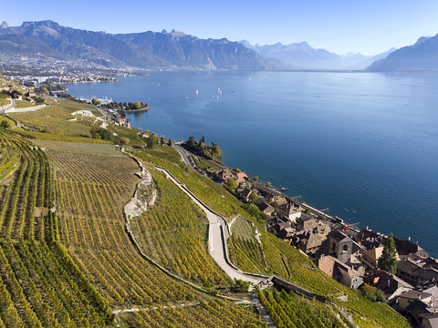 Les parlementaires s'offrent une pause