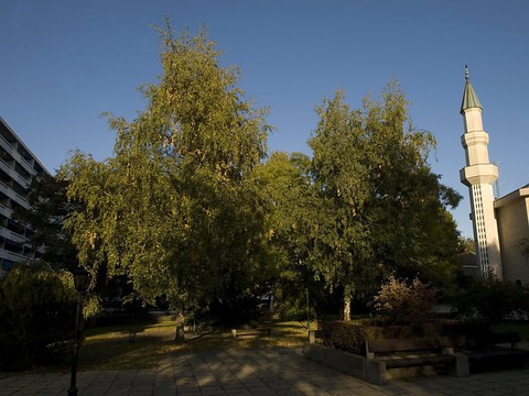 Le Conseil des Etats maintient la pression sur l'accord-cadre