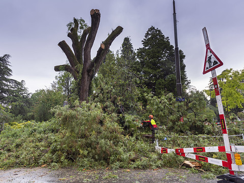 Violents orages et tempête de vent: une femme meurt dans le Léman
