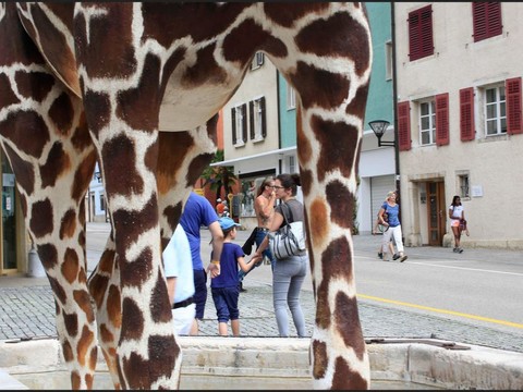 Près de 16'000 visiteurs pour la 5ème édition de Delémont’BD