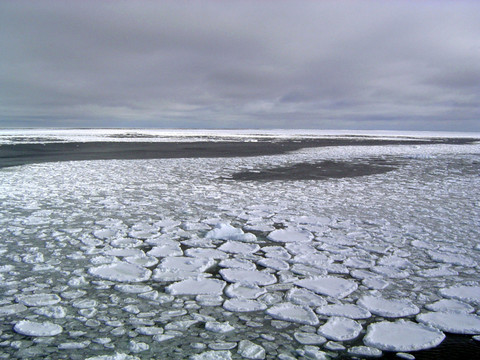 En Antarctique, 2014 fut une année charnière et on ne sait pourquoi