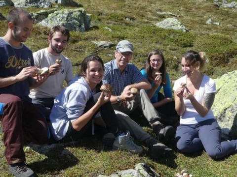 Des bolets à plus de 2400 mètres d'altitude dans les Grisons