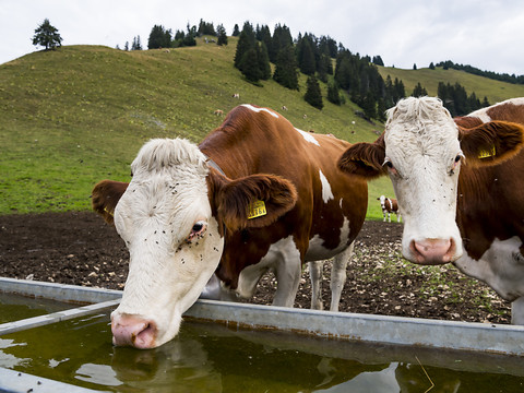 Les défis de l'agriculture à l'heure du changement climatique