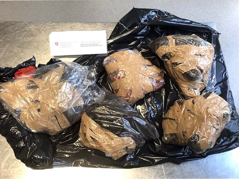 A Brigue (VS), 23 kilos de viande d'antilope saisie dans le train