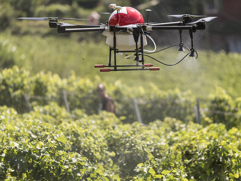 Hélicoptères et drones doivent cohabiter dans les vignes