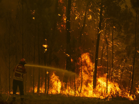 Attisés par les vents, les incendies ont repris au Portugal