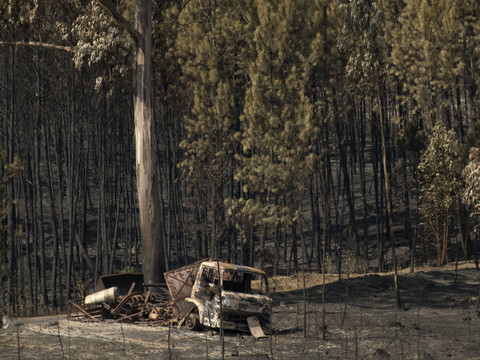 Les pompiers viennent à bout d'un gros feu de forêt au Portugal