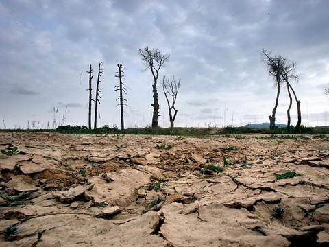 Réchauffement mondial et plus rapide que jamais depuis 2000 ans