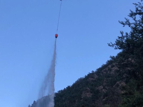 Deux ados mettent involontairement le feu à la forêt à Riddes
