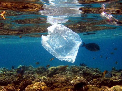 La Méditerranée, mer la plus polluée d'Europe