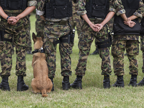 91 militaires basés à Sion ont souffert de diarrhées légères