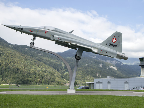 Armée: des belettes pour chasser les souris à Meiringen (BE)