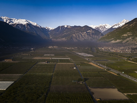 Feu bactérien: la maladie des arbres fruitiers se propage en Valais