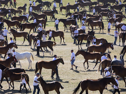 La Fédération des costumes invitée d'honneur de la fête du cheval