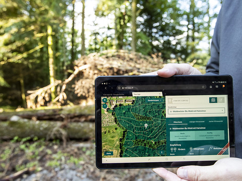 Une app pour savoir quels arbres planter avec le réchauffement