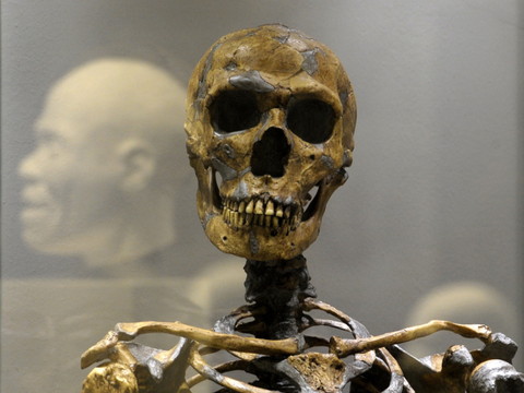L'homme de Neandertal avait développé 