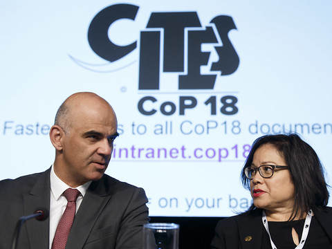 Protection des espèces: Alain Berset veut des réponses 