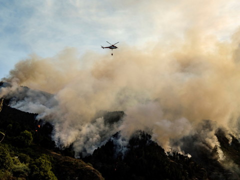 Les pompiers progressent face à l'incendie de la Grande Canarie
