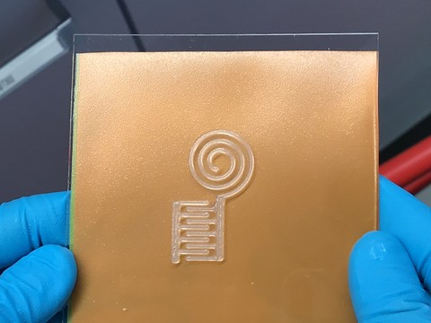Empa: des capteurs flexibles et biocompatibles en nanocellulose