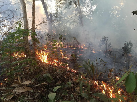 Les incendies en Amazonie progressent, aide d'urgence du G7