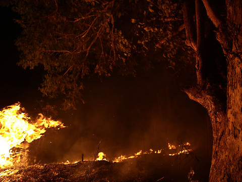 Les incendies au Brésil sont 