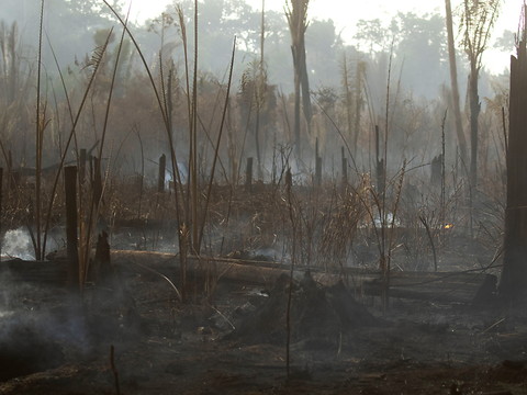 Le Brésil rejette l'aide du G7 pour combattre les incendies