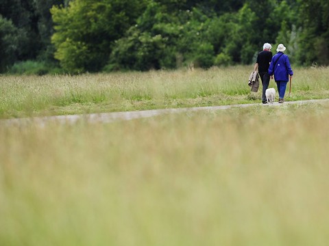 Le taux minimal de la LPP devrait être stable en 2020