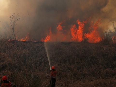 Au Brésil, pas de répit sur le front des incendies