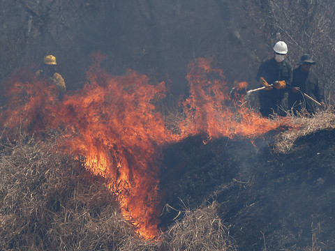 Les incendies ont dégradé des sites rupestres en Bolivie