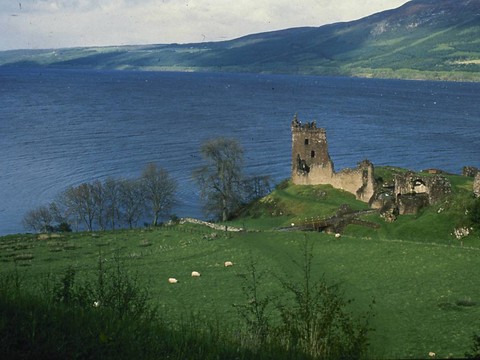 Loch Ness: et s'il y avait anguille (géante) sous roche ?