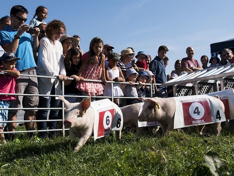 Près de 25'000 personnes pour la Bénichon à Ecuvillens