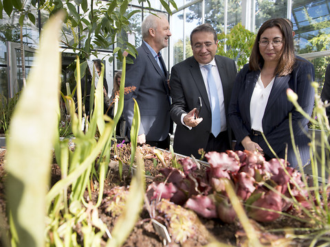 Une nouvelle serre pour le jardin botanique de Lausanne