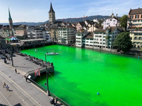 Limmat en vert pour protester contre la destruction de l'écosystème
