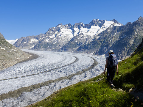 Plus de glacier d'Aletsch en 2100 si rien n'est fait pour le climat