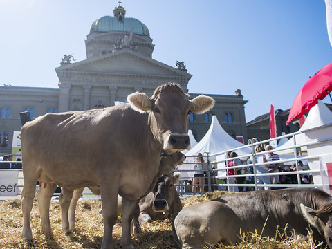 Agriculteurs et restaurateurs main dans la main