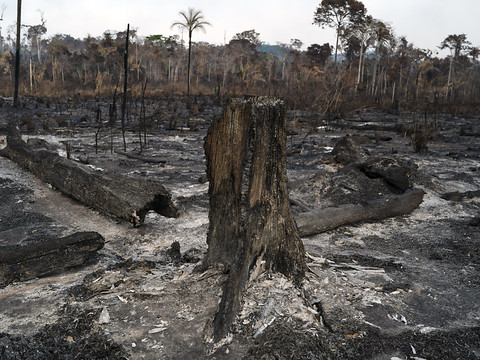 Déforestation: Bolsonaro donne le feu vert à des mafias, dit HRW