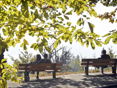 Journée estivale en plein mois d'octobre: jusqu'à 25 degrés