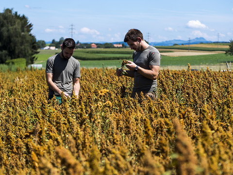 Fribourg évaluera l'impact du réchauffement sur l'agriculture