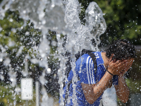 La canicule de 2018 a entraîné une mortalité accrue