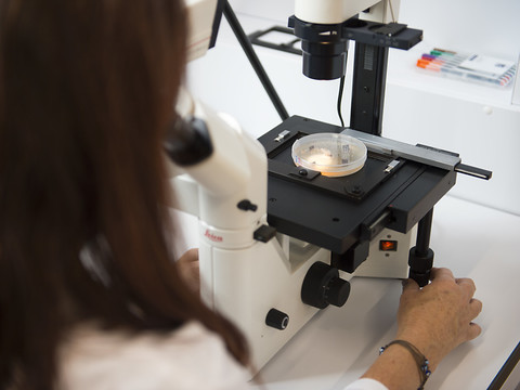 Des chercheurs de l'EPFZ ont modifié des virus tueurs de bactéries