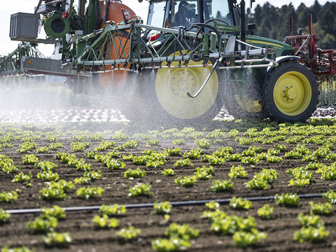 Le WWF obtient l'accès aux dossiers de trois pesticides