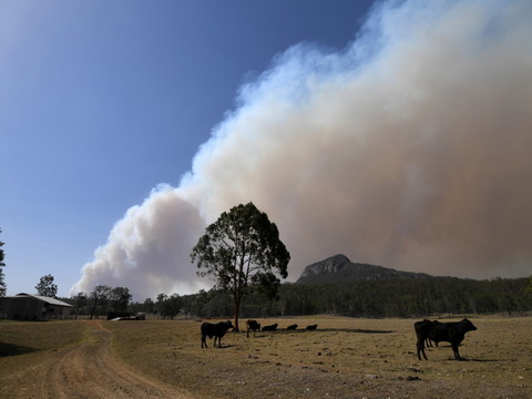 Des dizaines de feux dans l'est de l'Australie - Les pompiers à la peine